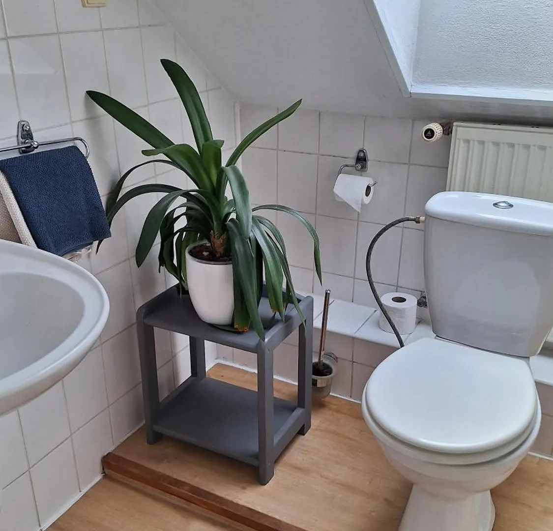 Inn Pension Egida Rez