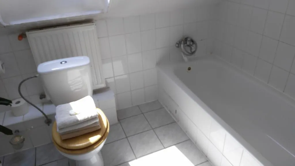*** Inn Pension Egida Rez Czech Republic